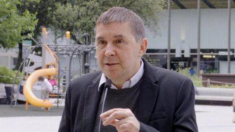 Otegi aplaude las decisiones de Pedro Sánchez referentes a la sedición