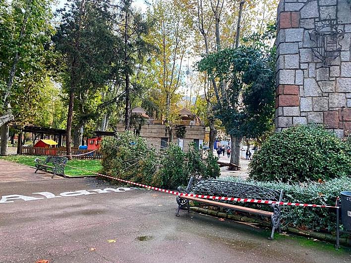 Zona acordonada en La Alamedilla por la caída de ramas de los árboles