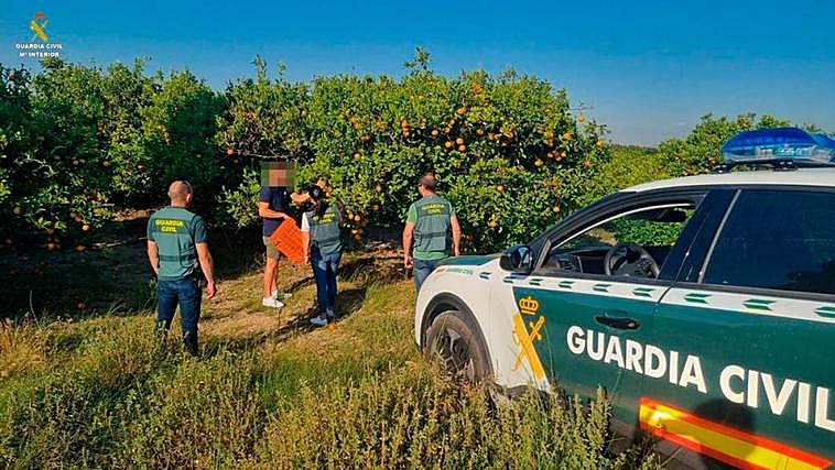 La Guardia Civil interviniendo una red de tráfico de alimentos