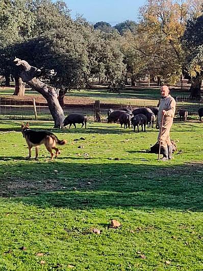 José Ignacio Pérez cuida a los cerdos en una finca de Espeja