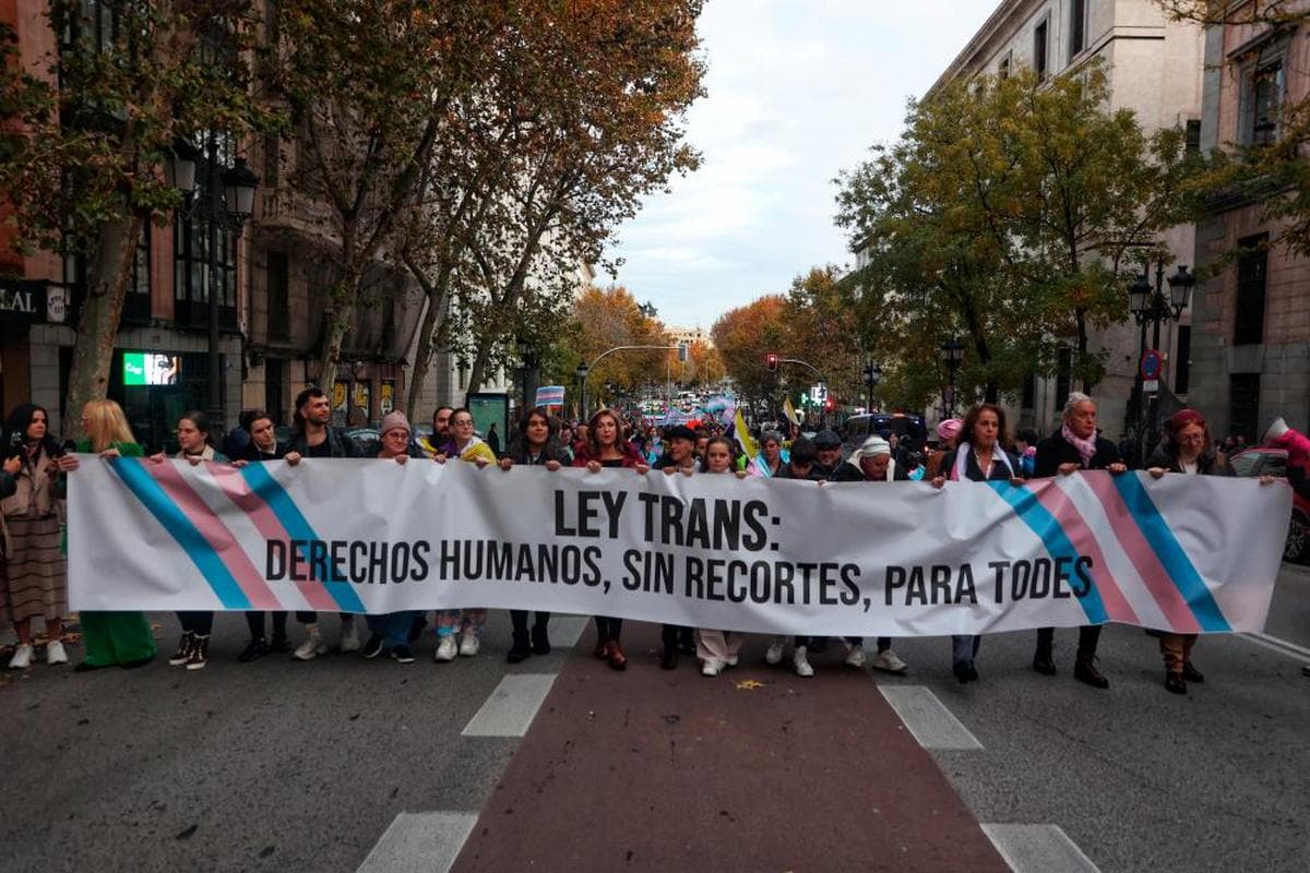 Imagen de la manifestación de Madrid