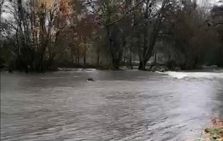 El río Águeda a su paso por El Rebollar