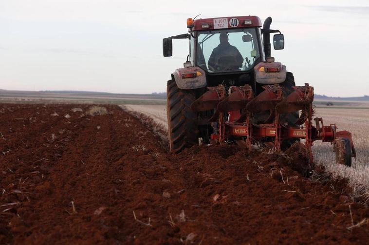 Los altos costes de producción, claves en las labores agrarias