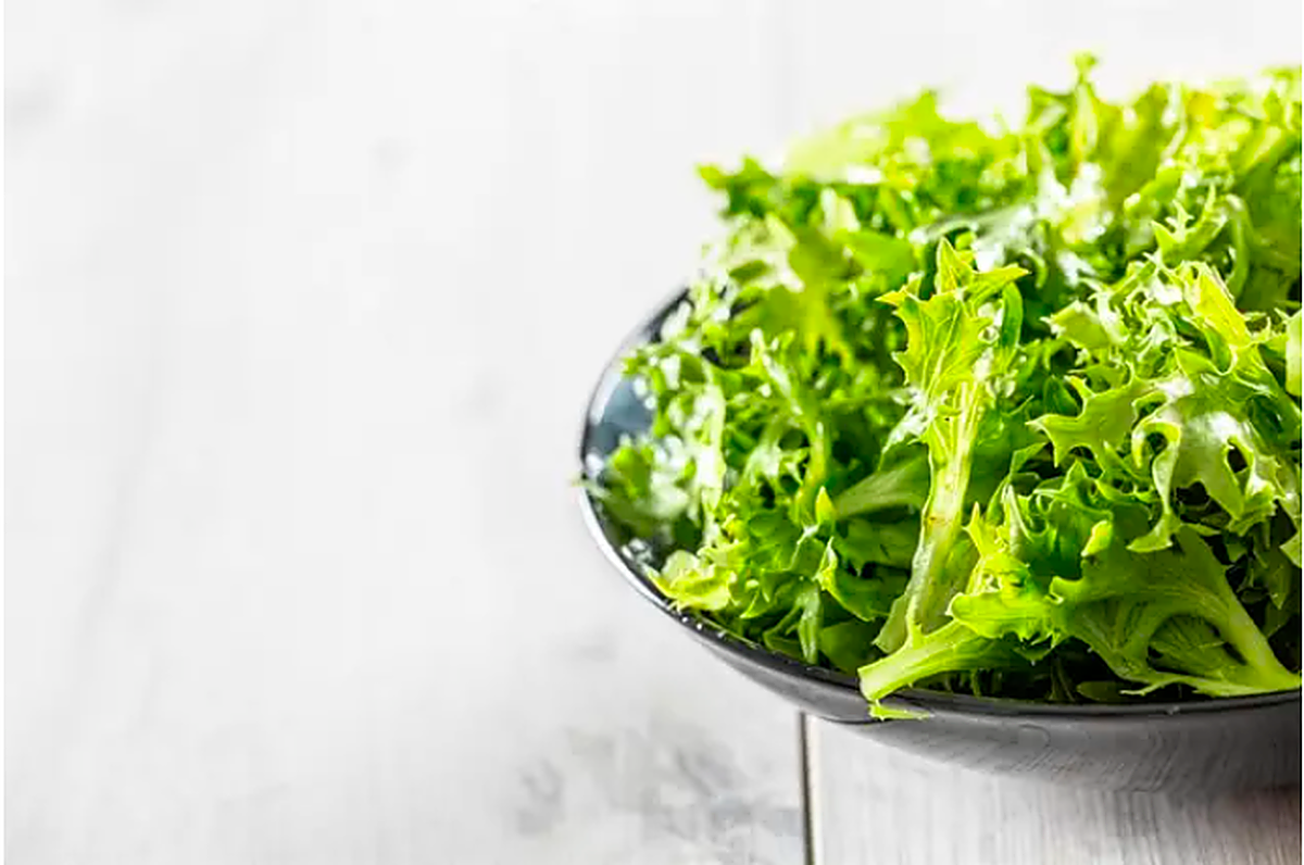 Un plato con escarola, verdura típica del invierno