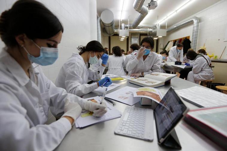 Estudiantes de Medicina en la Universidad de Salamanca.