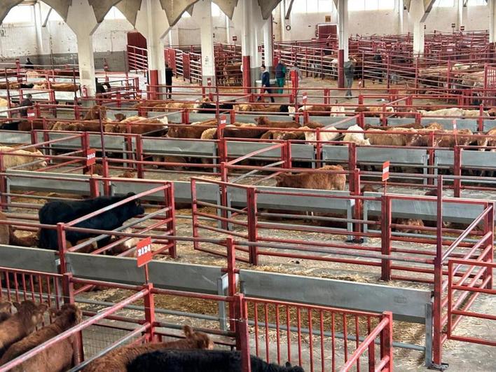 Imagen de los corrales del mercado de ganados en el recinto de la Diputación de Salamanca