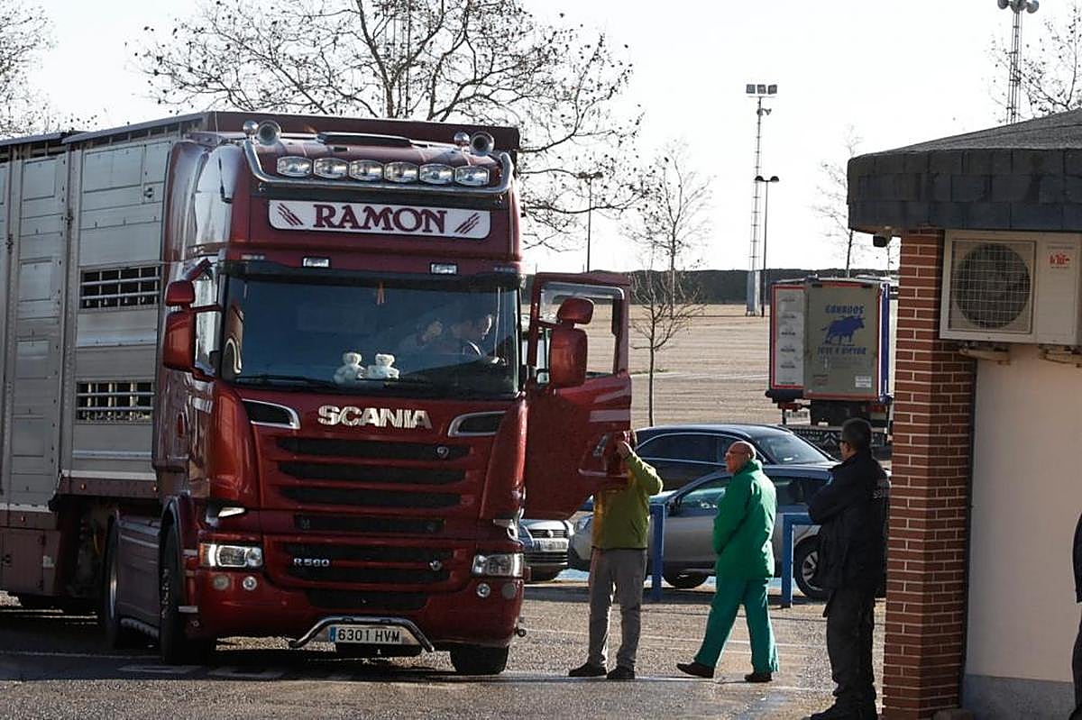 Camión entrando en el Mercado de ganados de Salamanca