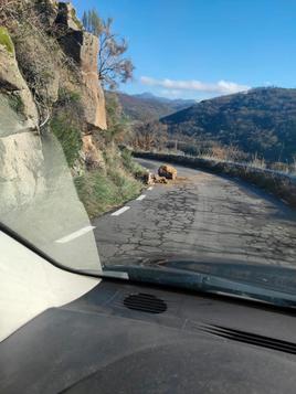 Piedras en la carretera de Aldeacipreste. TEL