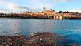 El río Duero, a su paso por Zamora.