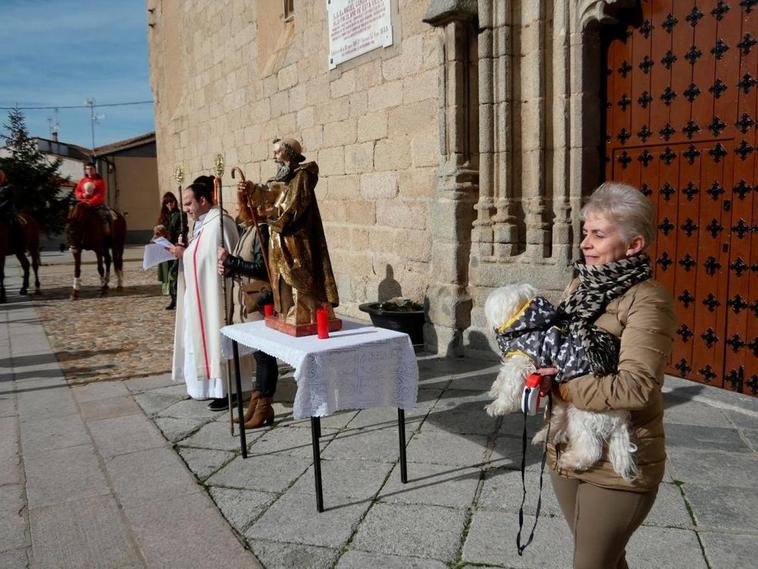 De caballos a una tortuga, así se vivió la bendición de San Antón en Macotera