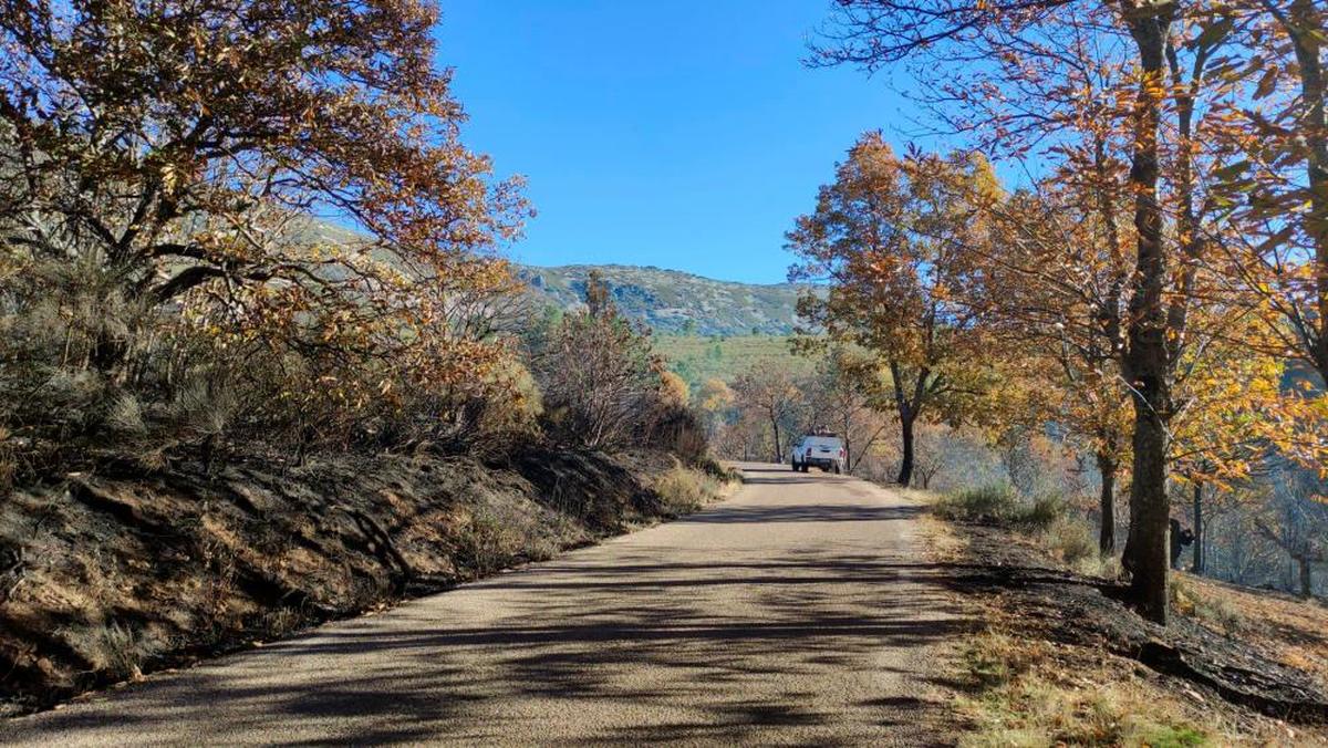 Calzada estrecha y en mal estado en la carretera de acceso a la localidad de Monsagro, en la Sierra de Francia.