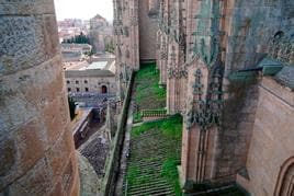 La cubierta de una nave lateral de la Catedral Nueva con algunas zonas completamente cubiertas por la vegetación