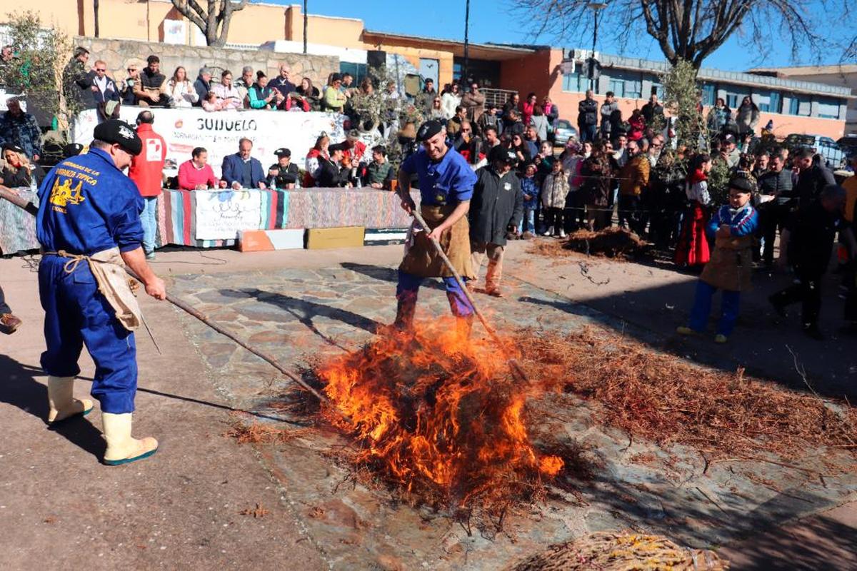 Momento del chamuscado del cerdo tras el primer sacrificio de l as XXXVII jornadas.