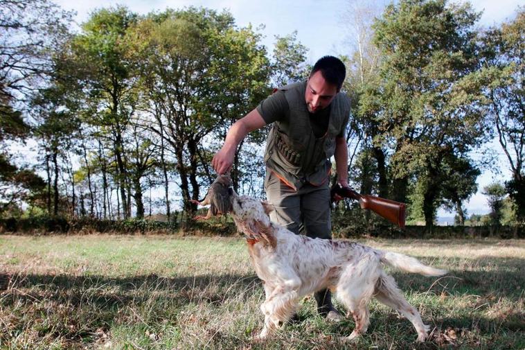 Los cazadores piden al Senado que frene la ley de bienestar animal