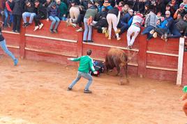 Momento de la cogida a un mozo en la Plaza.