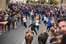 Un momento del encierro con los seis toros de la ganadería de El Pilar