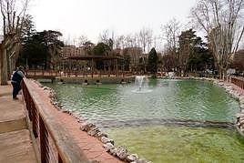 Un hombre contempla el estanque del parque de La Alamedilla, aún sin las aves.