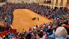 La plaza de Ciudad Rodrigo, abarrotada para disfrutar de la capea