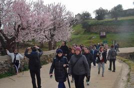 Llegada de los senderistas a los campos de almendros.