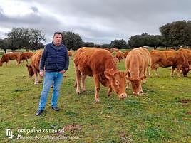 Raúl Rodríguez junto a parte de su ganado.