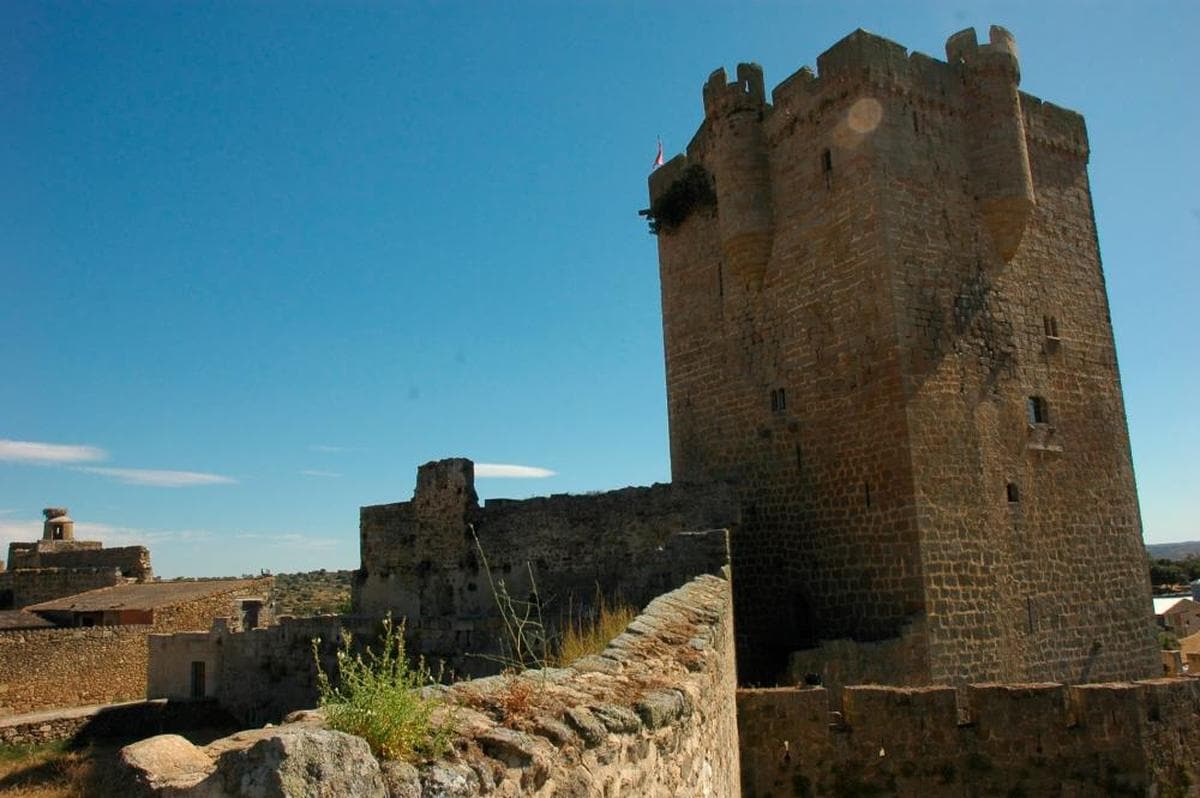 Castillo de San Felices de los Gallegos.
