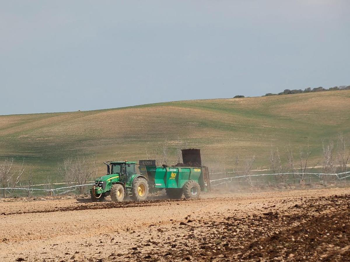 Un tractor en plena faena en el campo