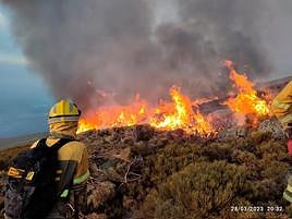 Brigadas de Refuerzo en Incendios Forestales, trabajando en la zona.