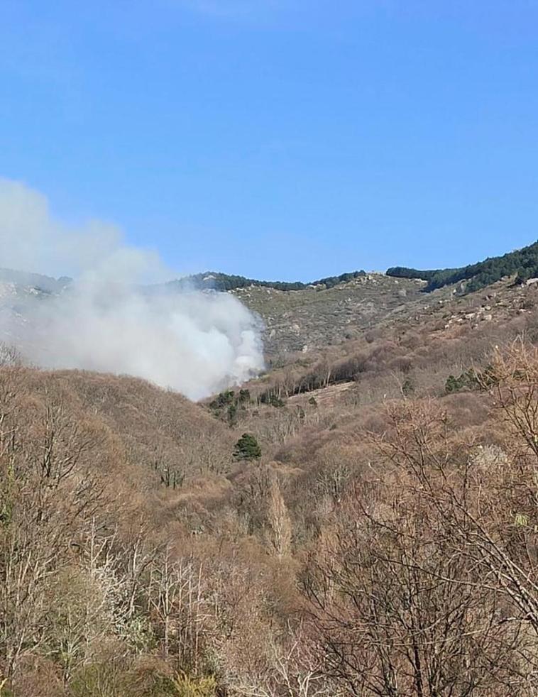 Controlado un incendio forestal declarado en la localidad de Cantagallo
