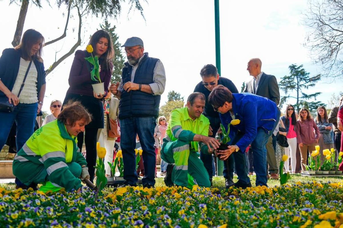 La concejalas Fresnadillo y Rodríguez, plantando tulipanes por el párkinson