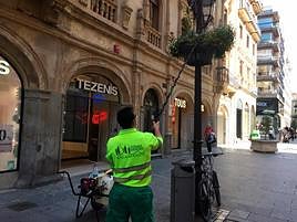 El operario “ducha” las plantas de la céntrica calle Toro de Salamanca