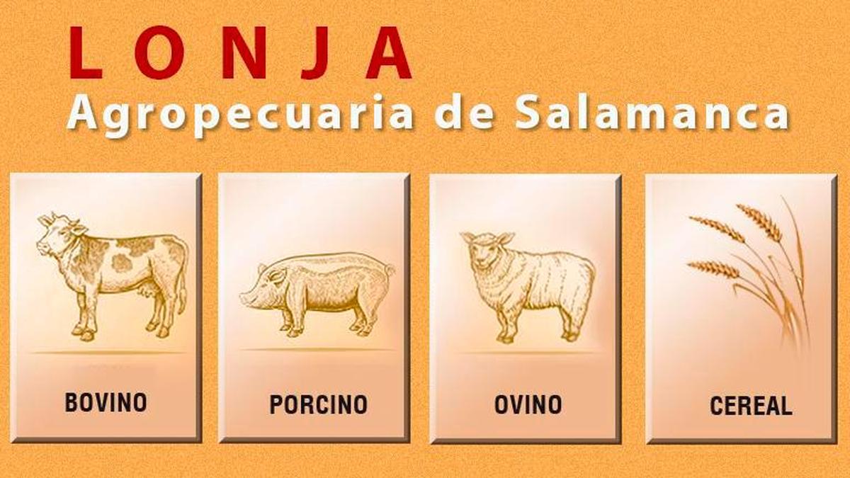 Consulta las cotizaciones de la Lonja de Salamanca