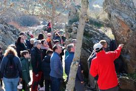 Turistas realizando una de las visitas guiadas al yacimiento arqueológico de Siega Verde.