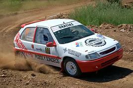 Fallece un piloto de rally al precipitarse su vehículo por un barranco de 50 metros en una prueba en Ávila.