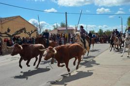 Encierro a caballo, uno de los principales reclamos de las fiestas, de marcado acento taurino