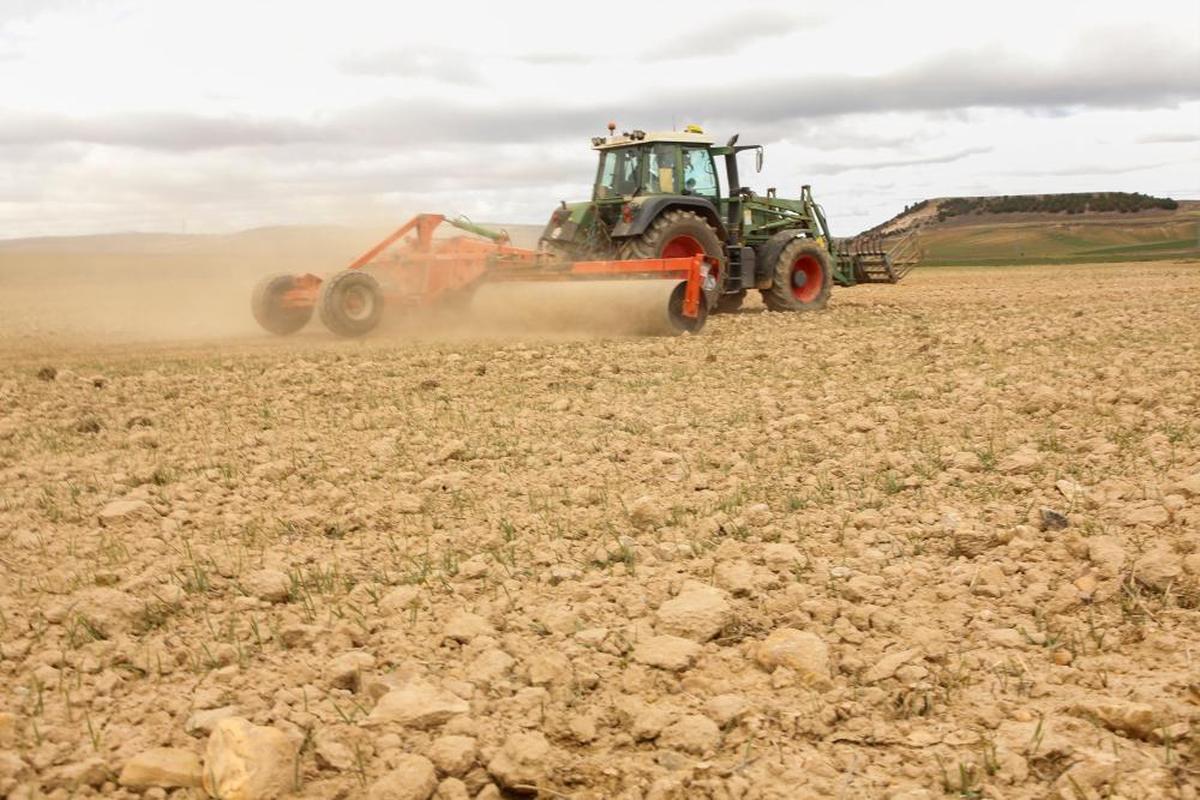 Un agricultor prepara el terreno para la siembra