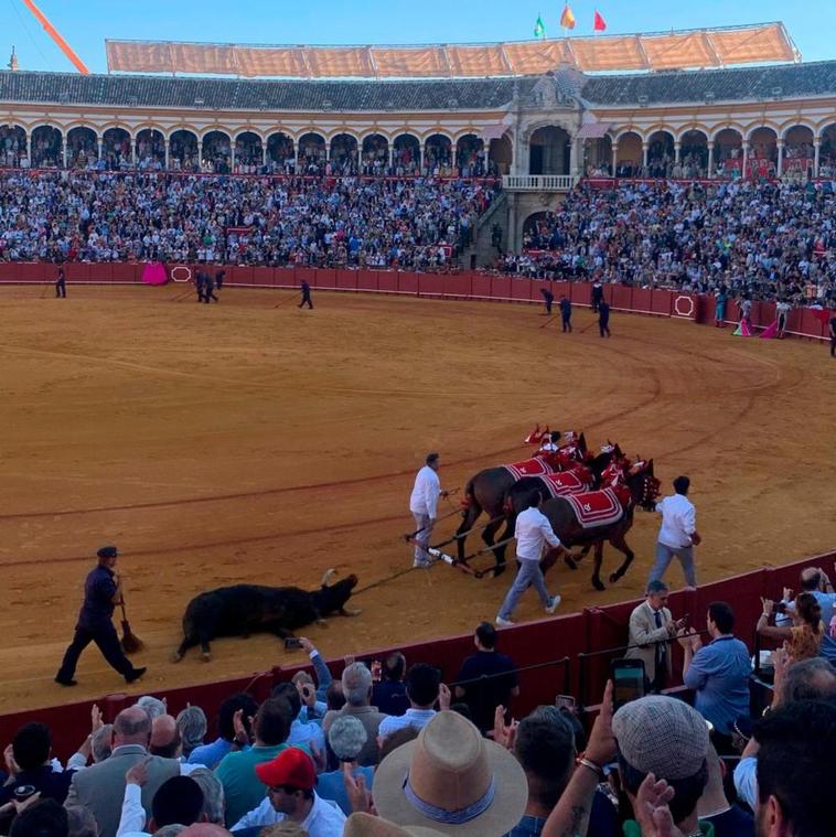 Morante corta un rabo a un toro salmantino de Domingo Hernández