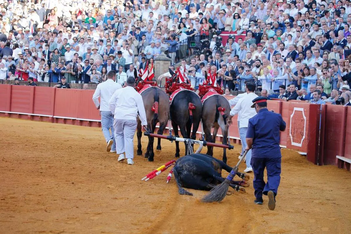 Vuelta al ruedo en el arrastre de Filósofo, el toro de Olga Jiménez premiado el lunes en el coso de La Maestranza