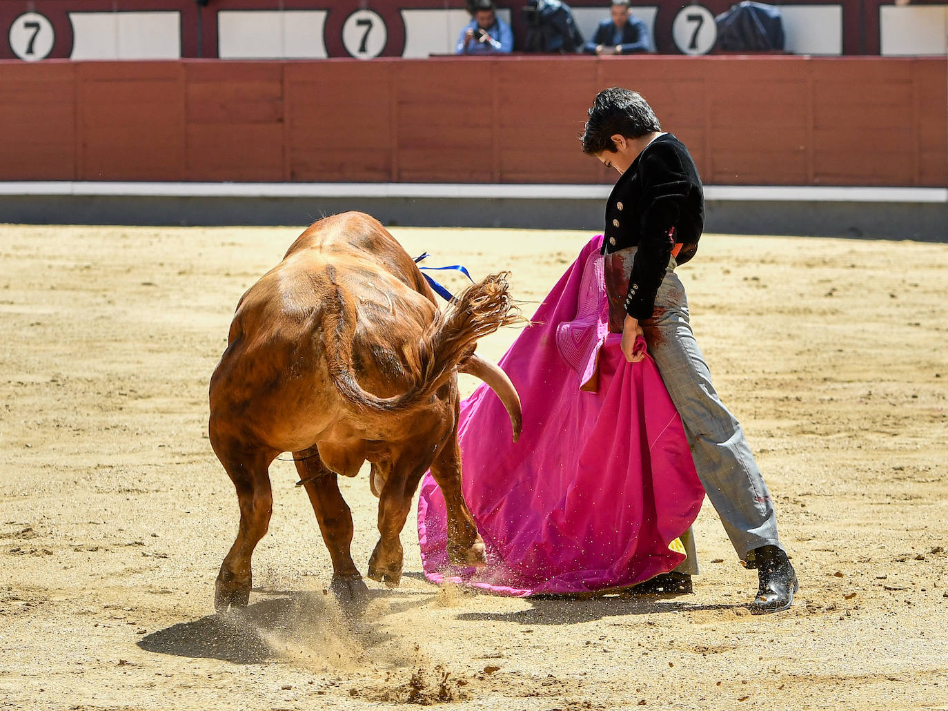 Las mejores imágenes del increíble debut de Marco Pérez en Las Ventas
