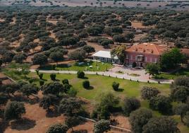 La boda perfecta en Palacio Carrascalino