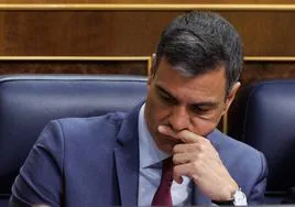 El presidente del Gobierno, Pedro Sánchez.