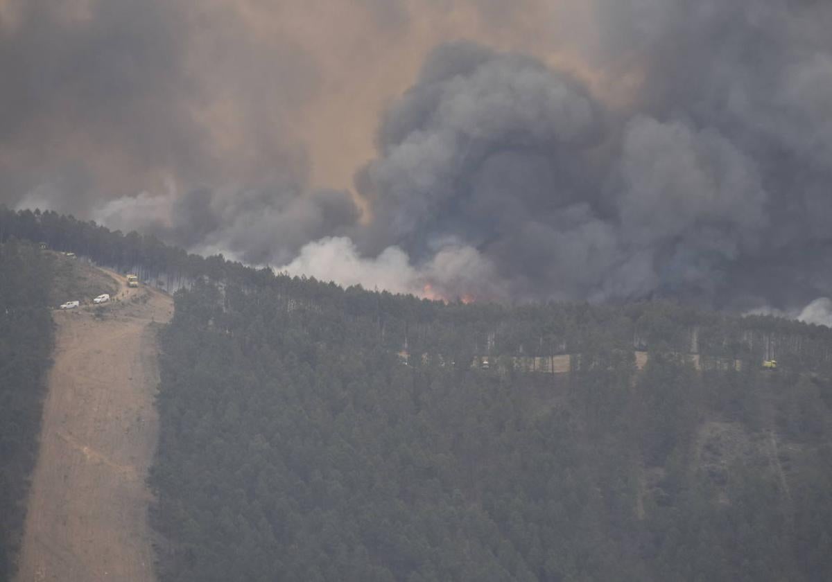 El cortafuegos realizado entre Descargamaria y Cadalso, en la provincia de Cáceres