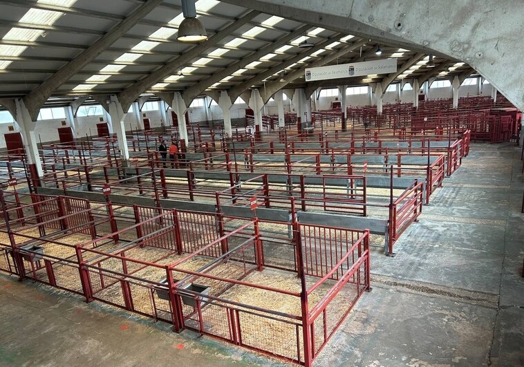 El boicot de los ganaderos para la actividad del próximo mercado de ganados