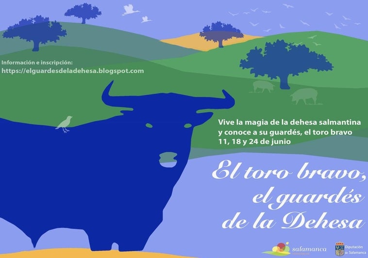 Salamanca promociona el toro bravo y la dehesa en su nueva experiencia turística