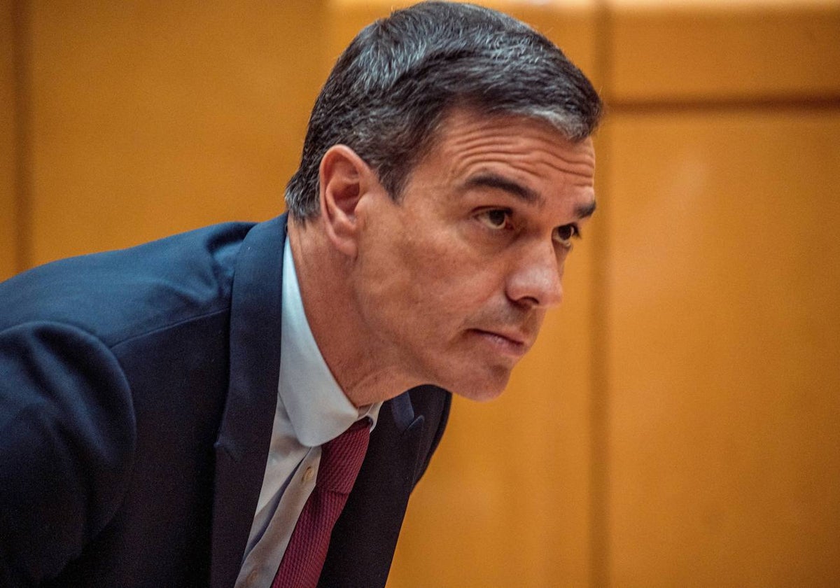 ¿Cree que Pedro Sánchez busca una baja participación en las elecciones de julio como sugiere el PP?