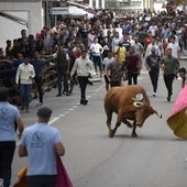 Cientos de mozos saltaron ayer a las calles principales de Vitigudino. fotos