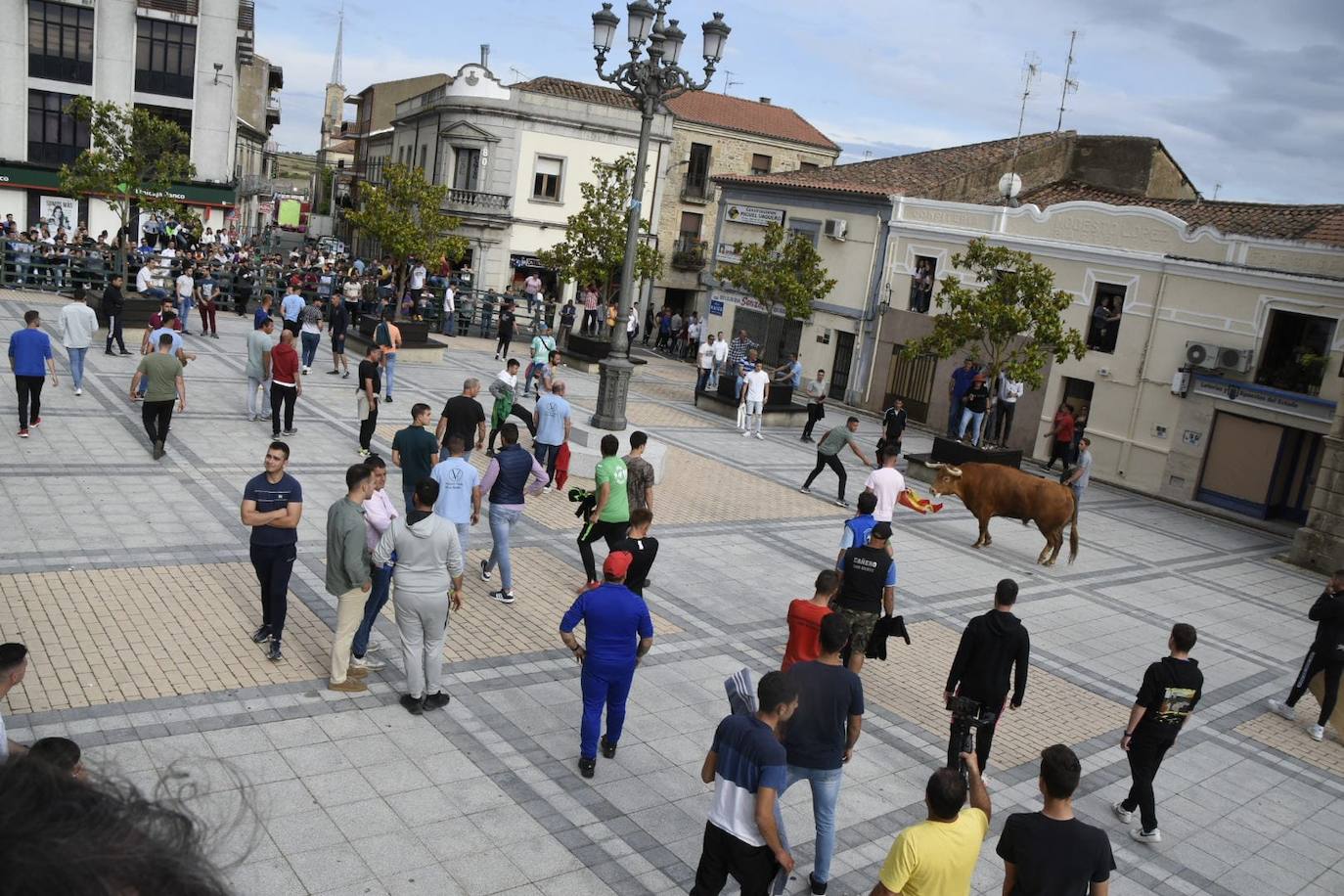 El Toro del Cajón abre los Corpus en Vitigudino