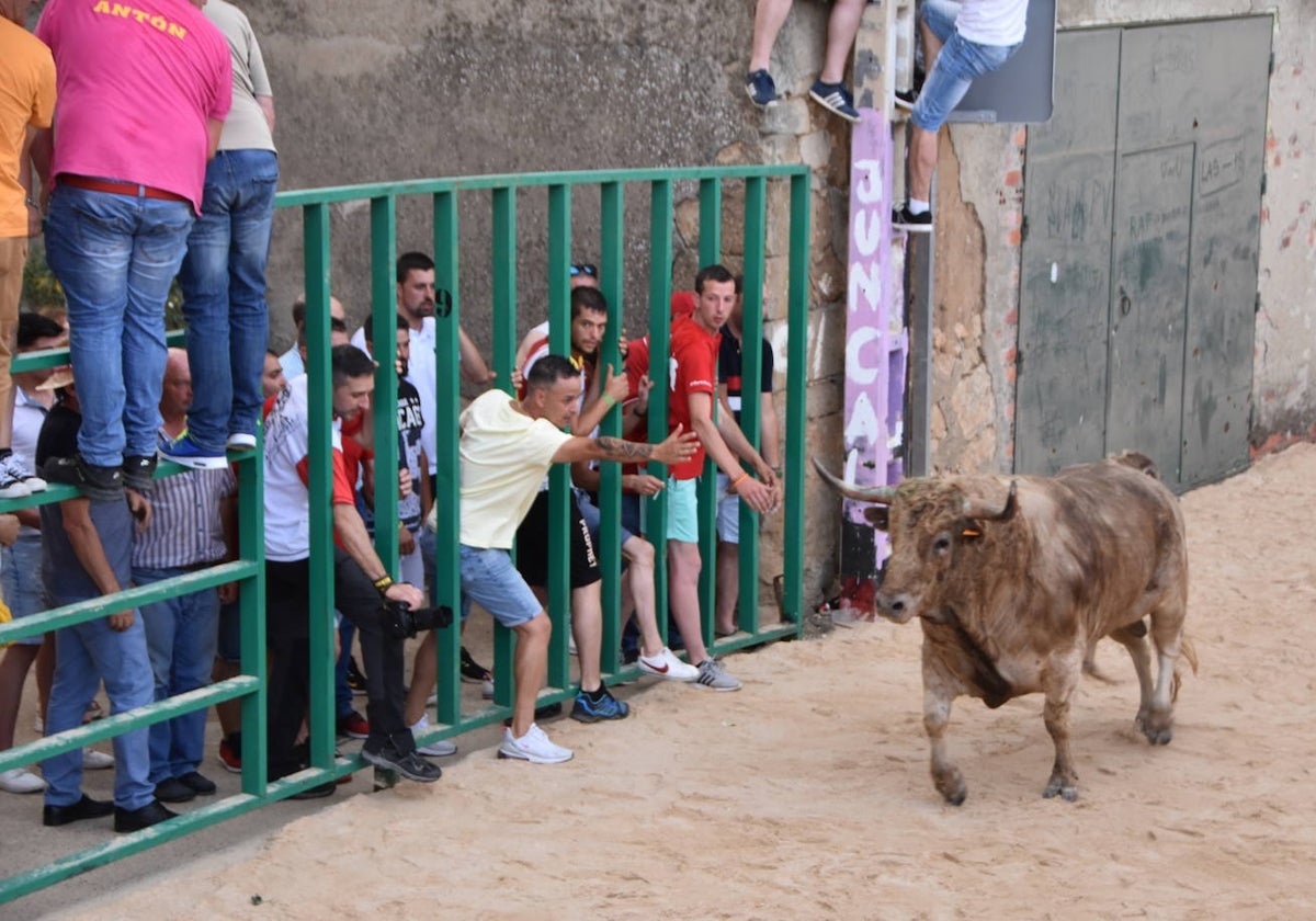 Uno de los vibrantes momentos vividos en el toro de cajón de 2022.