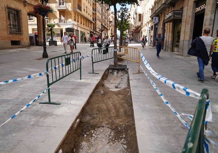 Salamanca comienza la transformación verde del casco histórico