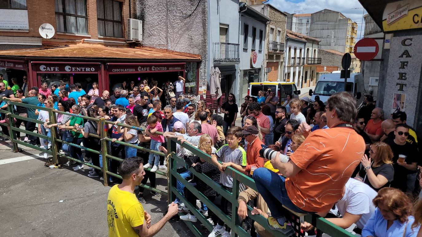 Vitigudino se llena para el segundo encierro de las fiestas del Corpus