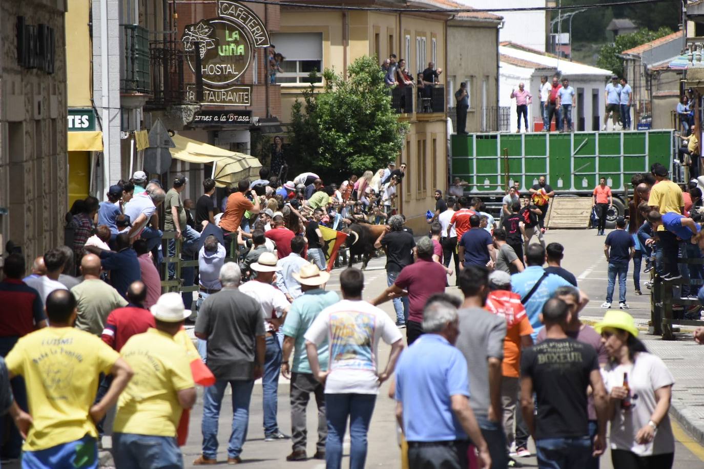 Vitigudino se llena para el segundo encierro de las fiestas del Corpus